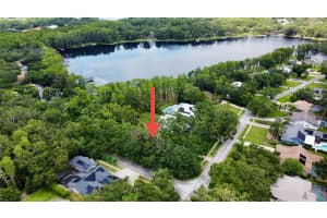 16006 ARMISTEAD LANE, ODESSA, FL 33556 - MLS#MFRTB8453718