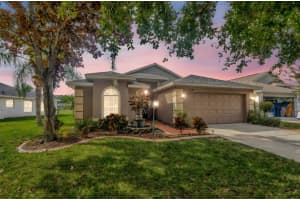 19519 MORDEN BLUSH DRIVE, LUTZ, FL 33558 - MLS#MFRTB8453744