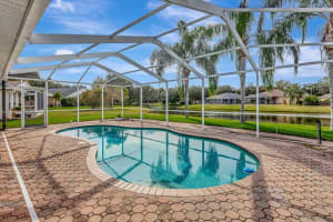 19519 MORDEN BLUSH DRIVE, LUTZ, FL 33558 - MLS#MFRTB8453744