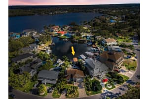 110 CARLYLE CIRCLE, PALM HARBOR, FL 34683 - MLS#MFRTB8453747