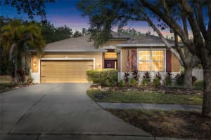 17425 New Cross Cir, LITHIA