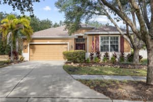 17425 NEW CROSS CIRCLE, LITHIA, FL 33547 - MLS#MFRTB8453790