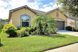 11607 BLUE WOODS DRIVE, RIVERVIEW, FL 33569 - MLS#MFRTB8453901