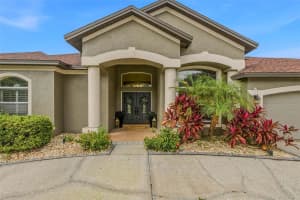4309 WATERFORD LANDING DRIVE, LUTZ, FL 33558 - MLS#MFRTB8453937