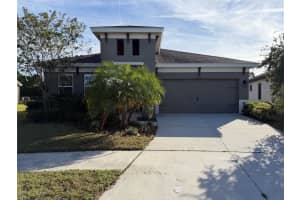 6204 COLMAR PLACE, APOLLO BEACH, FL 33572 - MLS#MFRTB8453969