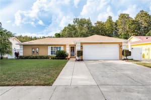 12406 Forest Lane Dr, TAMPA 12406 Forest Lane Dr, TAMPA
