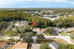 12406 FOREST LANE DRIVE, TAMPA, FL 33624 - MLS#MFRTB8453995