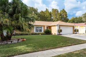 12406 FOREST LANE DRIVE, TAMPA, FL 33624 - MLS#MFRTB8453995