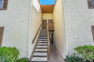 11505 7TH WAY, ST PETERSBURG, FL 33716 - MLS#MFRTB8454037