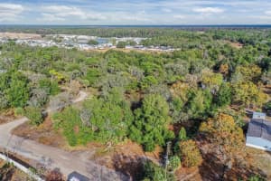 10209 SYBIL LANE, HUDSON, FL 34667 - MLS#MFRTB8454098