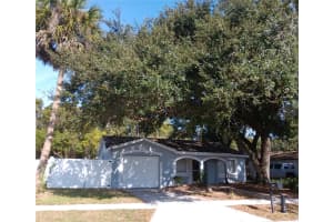 21439 NORTHWOOD DRIVE, LUTZ, FL 33549 - MLS#MFRTB8454115