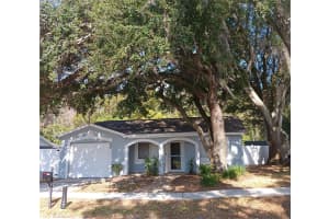 21439 NORTHWOOD DRIVE, LUTZ, FL 33549 - MLS#MFRTB8454115