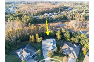 19331 RANCHVIEW COURT, LAND O LAKES, FL 34638 - MLS#MFRTB8454147