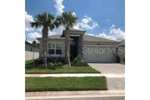 3114 MOUNTAIN SPRUCE TERRACE, WESLEY CHAPEL, FL 33543 - MLS#MFRTB8454170