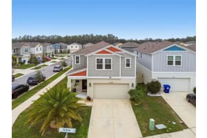 34245 Verbena St, WESLEY CHAPEL 34245 Verbena St, WESLEY CHAPEL