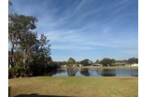 440 LAKEVIEW DRIVE, OLDSMAR, FL 34677 - MLS#MFRTB8454195