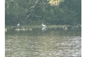 440 LAKEVIEW DRIVE, OLDSMAR, FL 34677 - MLS#MFRTB8454195