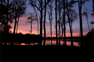 16308 Rock Lake Dr, ODESSA 16308 Rock Lake Dr, ODESSA