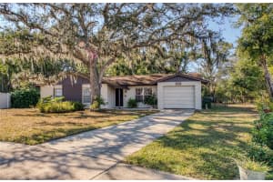 6521 SECREST COURT, TAMPA, FL 33625 - MLS#MFRTB8454213