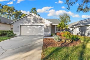 1422 TRAIL BOSS LANE, BRANDON, FL 33511 - MLS#MFRTB8454214