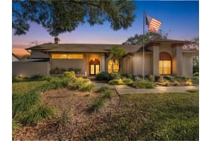 18103 Clear Lake Dr, LUTZ 18103 Clear Lake Dr, LUTZ