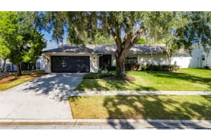 1322 CORNER OAKS DRIVE, BRANDON, FL 33510 - MLS#MFRTB8454227