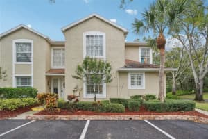 2243 Andover Cir, PALM HARBOR 2243 Andover Cir, PALM HARBOR