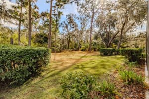 15312 FISHHAWK PRESERVE DRIVE, LITHIA, FL 33547 - MLS#MFRTB8454247