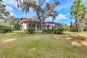 15312 FISHHAWK PRESERVE DRIVE, LITHIA, FL 33547 - MLS#MFRTB8454247