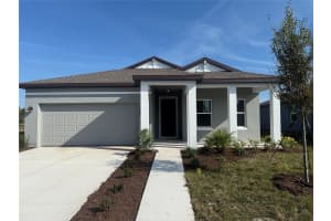 1647 CANE BAMBOO ST, ST CLOUD, FL 34771 - MLS#MFRTB8454249
