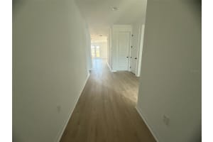 1647 CANE BAMBOO ST, ST CLOUD, FL 34771 - MLS#MFRTB8454249