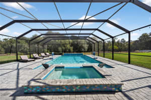 10579 MEADOWRUN DRIVE, LITHIA, FL 33547 - MLS#MFRTB8454267