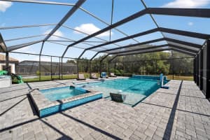 10579 MEADOWRUN DRIVE, LITHIA, FL 33547 - MLS#MFRTB8454267