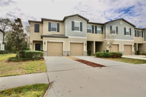 17620 NECTAR FLUME DRIVE, LAND O LAKES, FL 34638 - MLS#MFRTB8454290