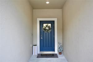 17620 NECTAR FLUME DRIVE, LAND O LAKES, FL 34638 - MLS#MFRTB8454290