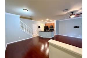 7561 TAMARIND AVENUE, TAMPA, FL 33625 - MLS#MFRTB8454312