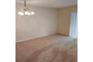 4411 SHADY TERRACE LANE, TAMPA, FL 33613 - MLS#MFRTB8454324