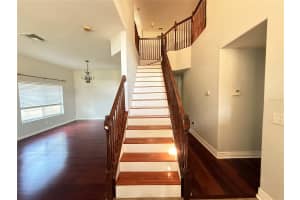 19123 CYPRESS GREEN DRIVE, LUTZ, FL 33558 - MLS#MFRTB8454334