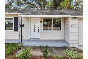 520 FREEPORT AVENUE, ST PETERSBURG, FL 33702 - MLS#MFRTB8454353