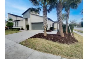 17335 BRIGHTON LAKE ROAD, LAND O LAKES, FL 34638 - MLS#MFRTB8454363