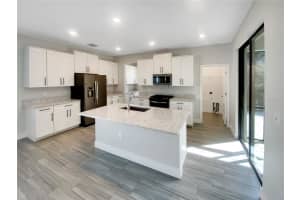 17335 BRIGHTON LAKE ROAD, LAND O LAKES, FL 34638 - MLS#MFRTB8454363