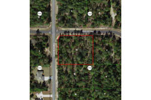 6777 HAZELWOOD DRIVE, CITRUS SPRINGS, FL 34433 Sold 03/02/26