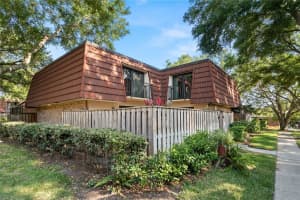 2705 5TH COURT, PALM HARBOR, FL 34684 - MLS#MFRTB8454393