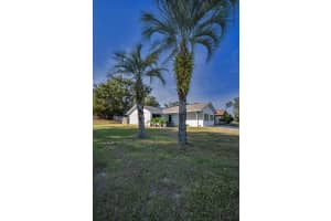 1502 COTTONWOOD TERRACE, DUNEDIN, FL 34698 - MLS#MFRTB8454406