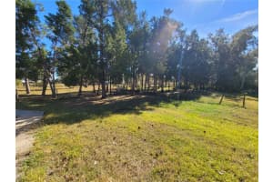 37515 PHELPS ROAD, ZEPHYRHILLS, FL 33541 - MLS#MFRTB8454419