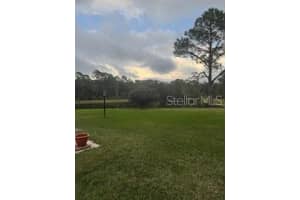 9051 QUAIL CREEK DRIVE, TAMPA, FL 33647 - MLS#MFRTB8454438