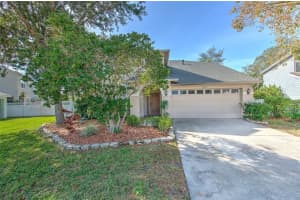 9205 CELEBRATION COURT, TAMPA, FL 33647 - MLS#MFRTB8454442