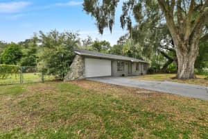 11616 LEWIS AVENUE, THONOTOSASSA, FL 33592 - MLS#MFRTB8454463