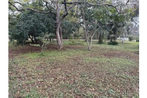 17479 TAVERN ROAD, BROOKSVILLE, FL 34604 - MLS#MFRTB8454476