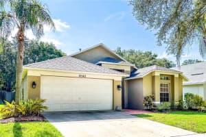 10140 SOMERSBY DRIVE, RIVERVIEW, FL 33578 - MLS#MFRTB8454485